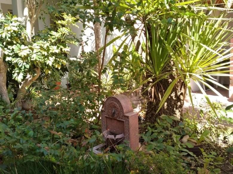 Hosteria Uruguay Piriapolis Bagian luar foto