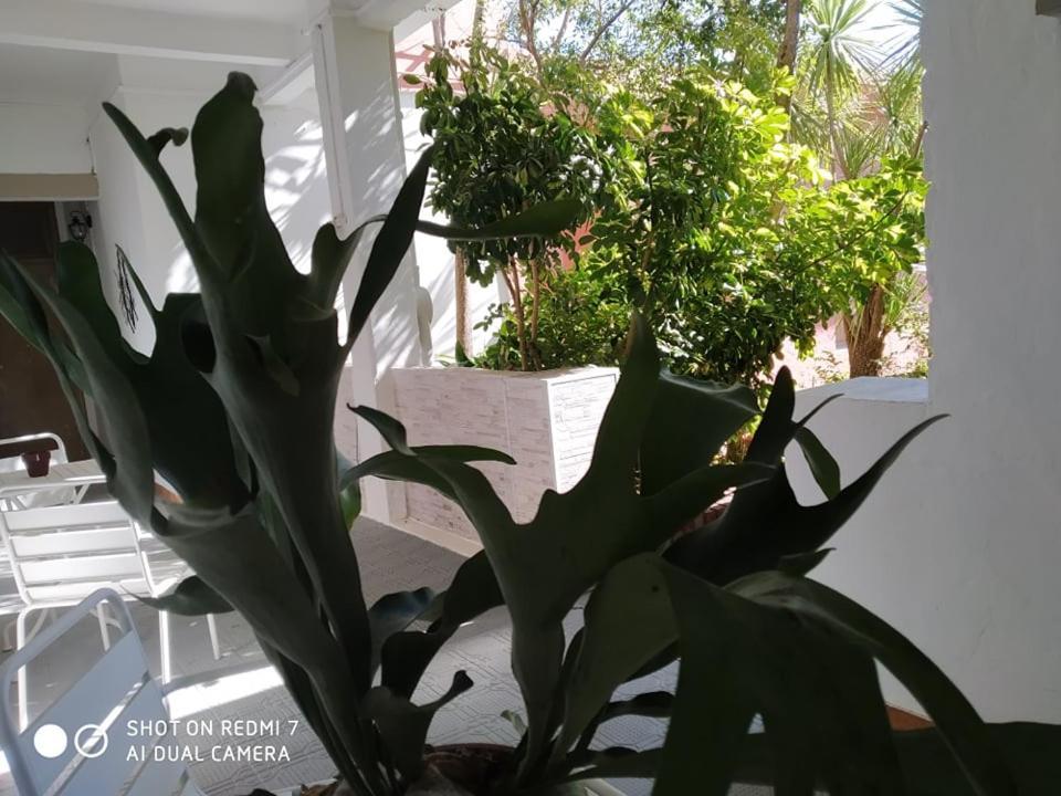 Hosteria Uruguay Piriapolis Bagian luar foto
