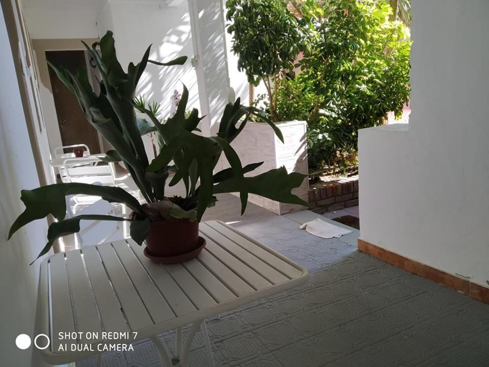 Hosteria Uruguay Piriapolis Bagian luar foto