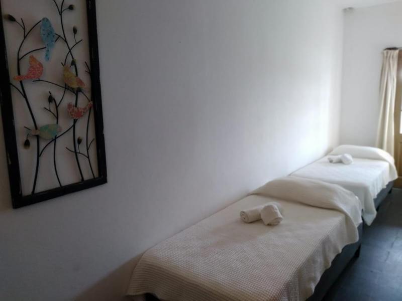 Hosteria Uruguay Piriapolis Bagian luar foto