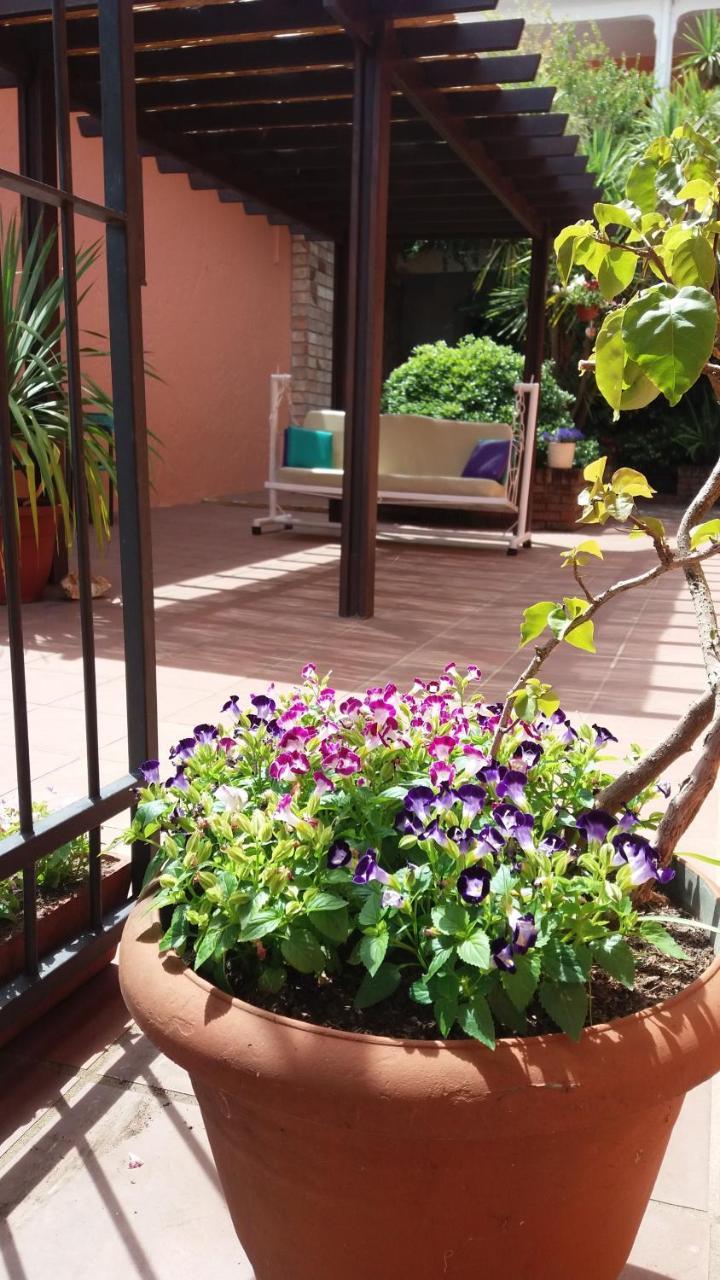 Hosteria Uruguay Piriapolis Bagian luar foto